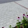 Jadar Kostka Brukowa Bergamo Piatto Klasyczna 8 cm Szary