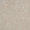 GOLIAT Ceramika SIGNUM beige 60x60 2 cm Beżowy