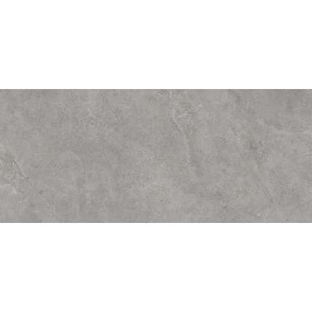 PARADYŻ AUTHORITY GREY 2.0 2 cm (op.)